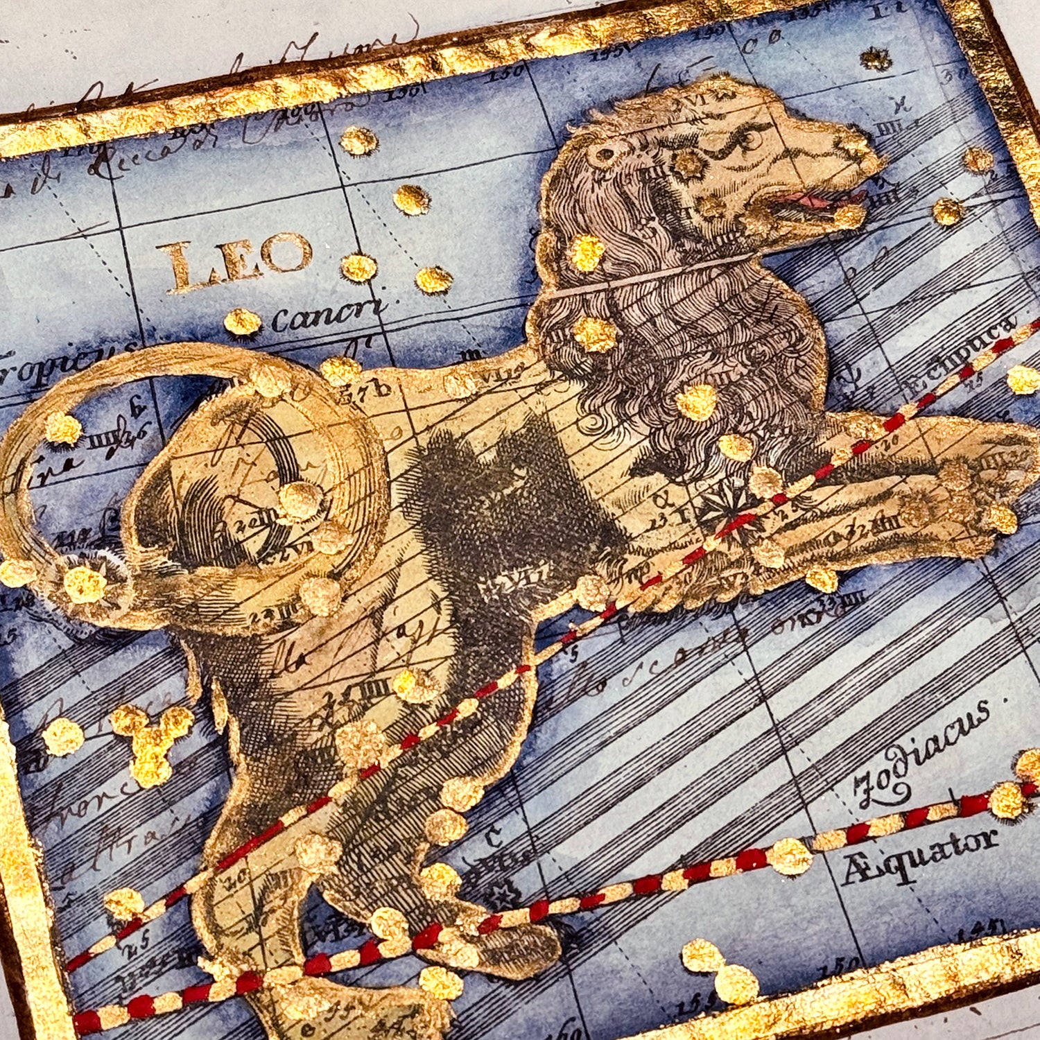 古董星座圖紙|獅子座