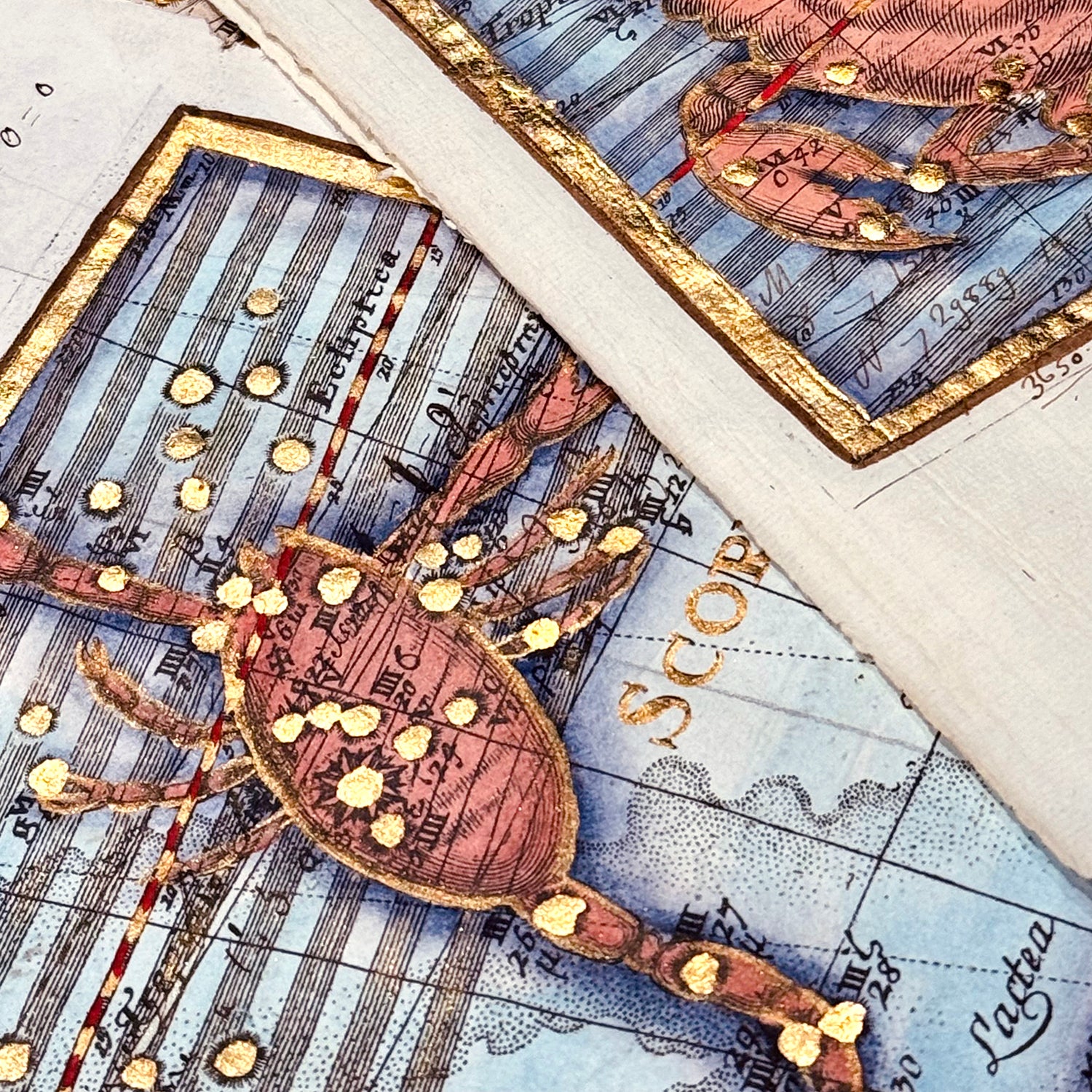 古董星座圖紙|天蠍座